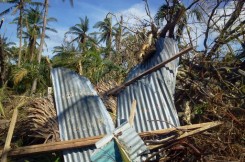 Hurricane Irma Relief