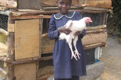 Meeting Children’s Needs
