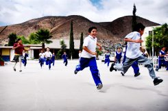 The Story of Centro Pedagogico Didaque